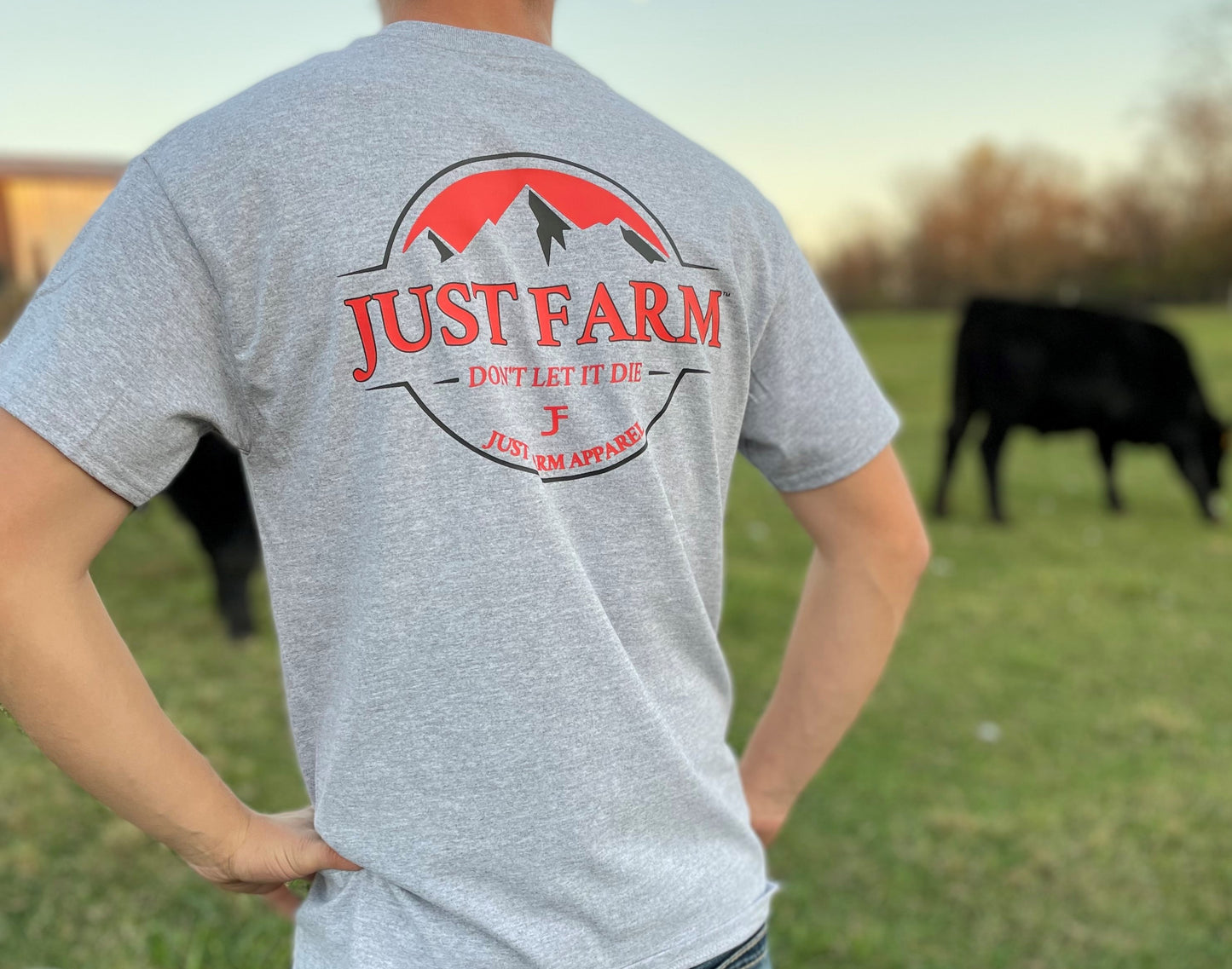 Don't Let It Die Mountain Design Pocket Tee - Just Farm Apparel